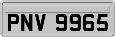 PNV9965