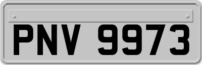 PNV9973