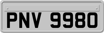 PNV9980