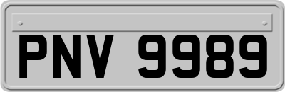 PNV9989