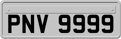 PNV9999