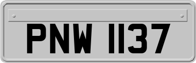 PNW1137