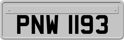 PNW1193