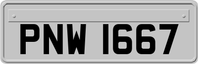 PNW1667