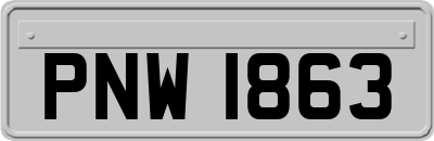 PNW1863