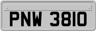PNW3810