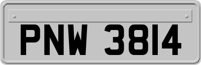 PNW3814