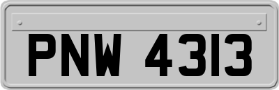 PNW4313