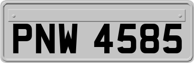 PNW4585