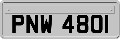 PNW4801