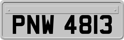 PNW4813