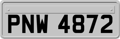 PNW4872