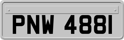PNW4881