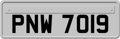 PNW7019