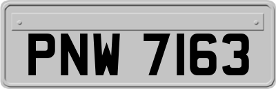 PNW7163
