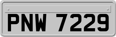 PNW7229