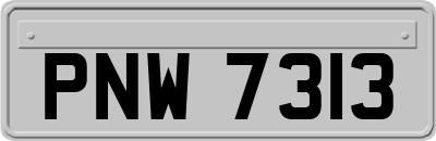 PNW7313