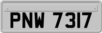 PNW7317
