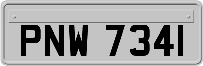 PNW7341