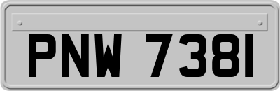 PNW7381