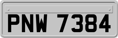 PNW7384