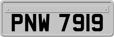 PNW7919