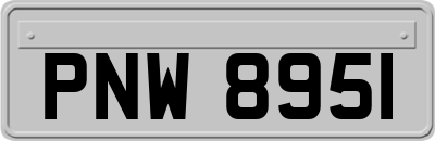 PNW8951