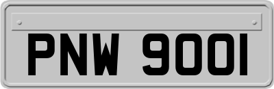 PNW9001