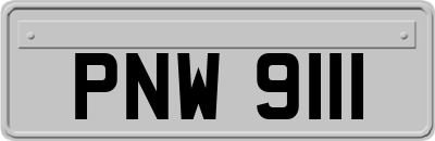 PNW9111