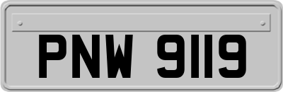 PNW9119