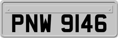 PNW9146