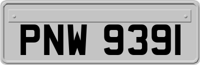 PNW9391