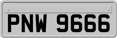 PNW9666