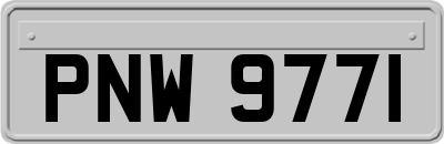 PNW9771