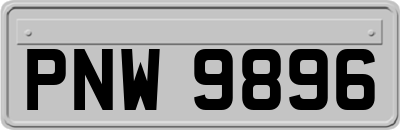 PNW9896