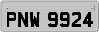 PNW9924