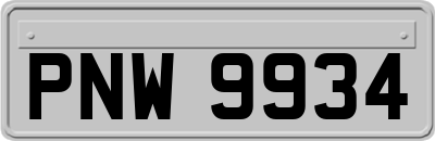 PNW9934