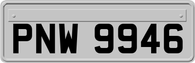 PNW9946