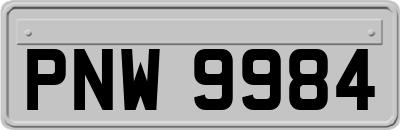 PNW9984