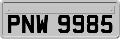 PNW9985