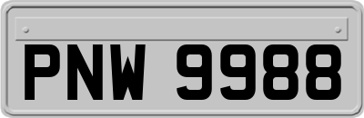 PNW9988