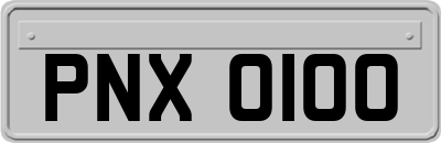 PNX0100