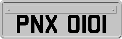 PNX0101