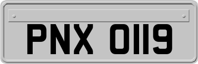 PNX0119