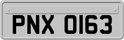 PNX0163