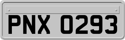 PNX0293