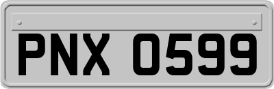 PNX0599