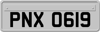 PNX0619
