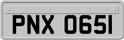 PNX0651
