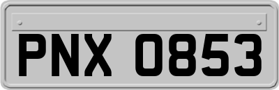 PNX0853